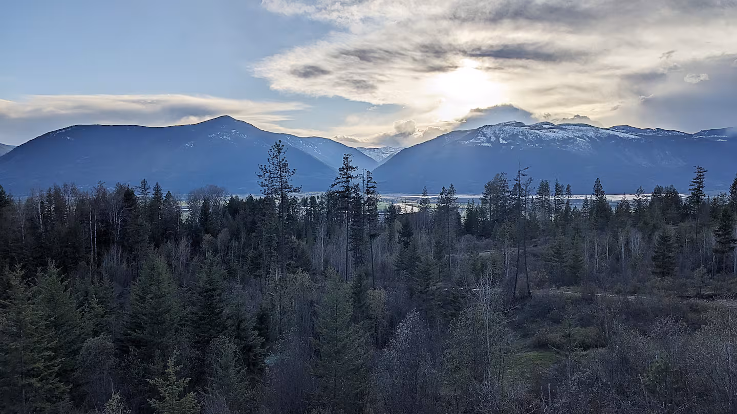 View from the property